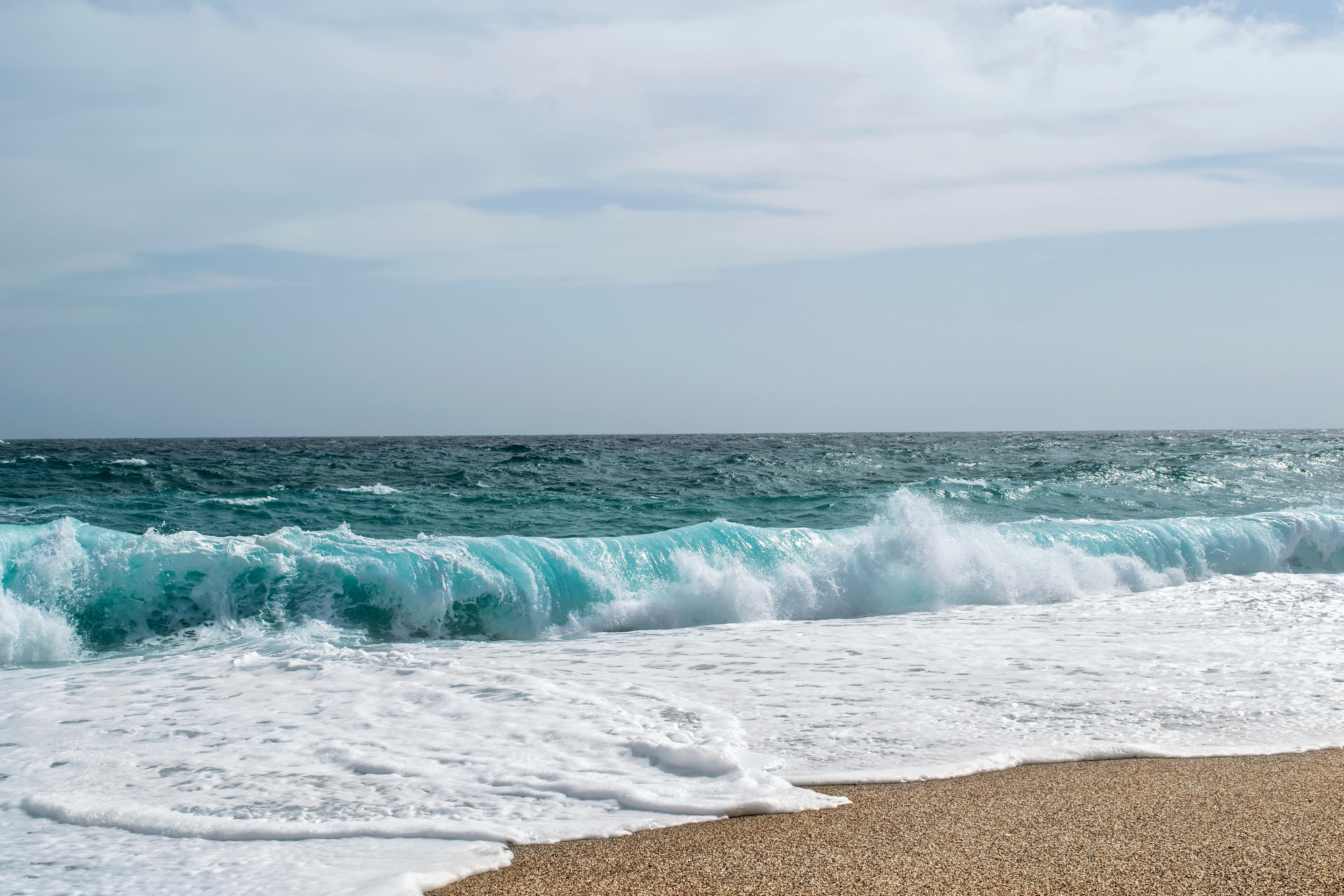 Son dos iniciativas clave para conocer en profundidad los impactos que el cambio climático en el litoral.