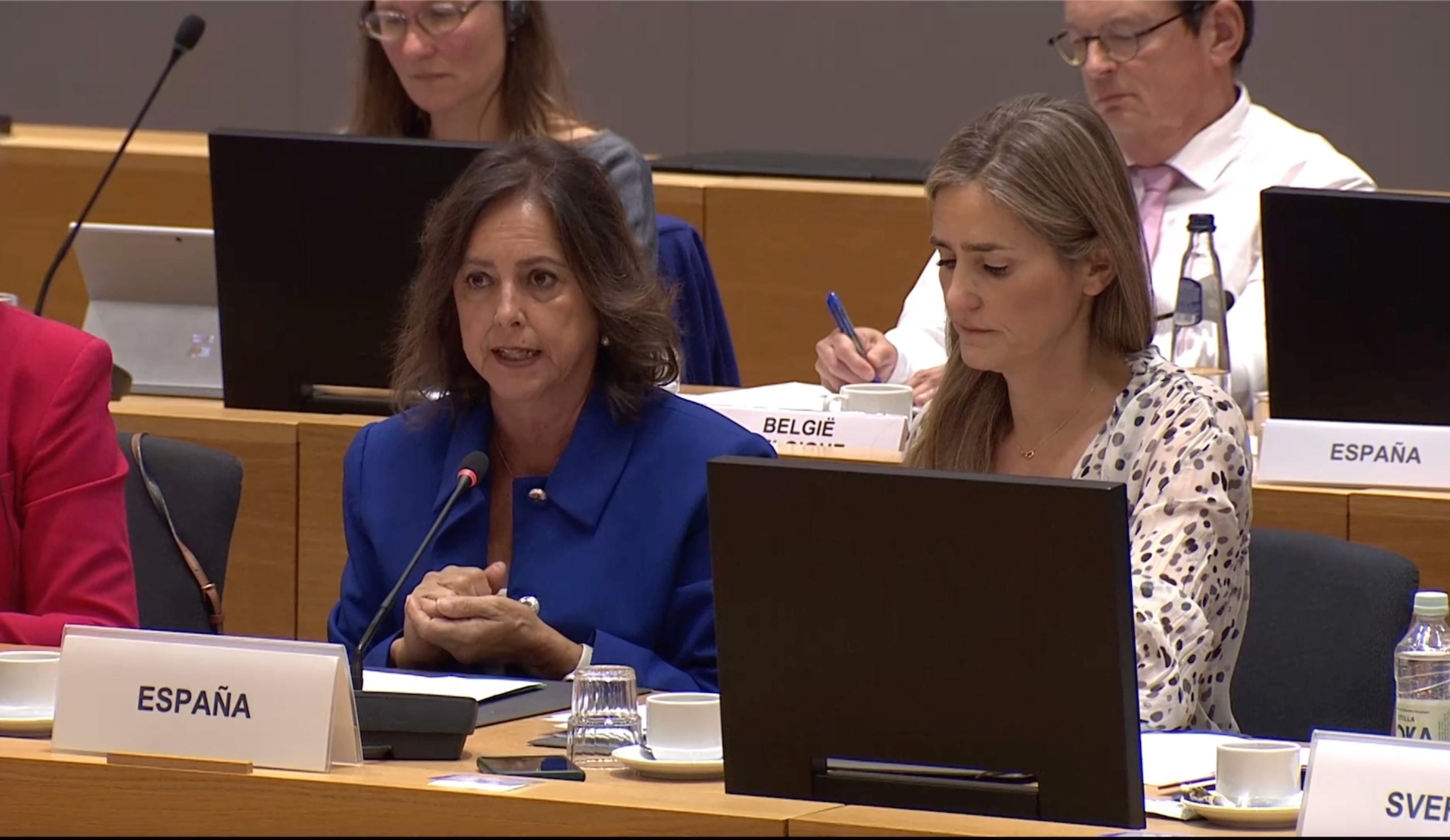 La consejera, Catalina García durante su intervención en el Consejo de Medio Ambiente de la UE.