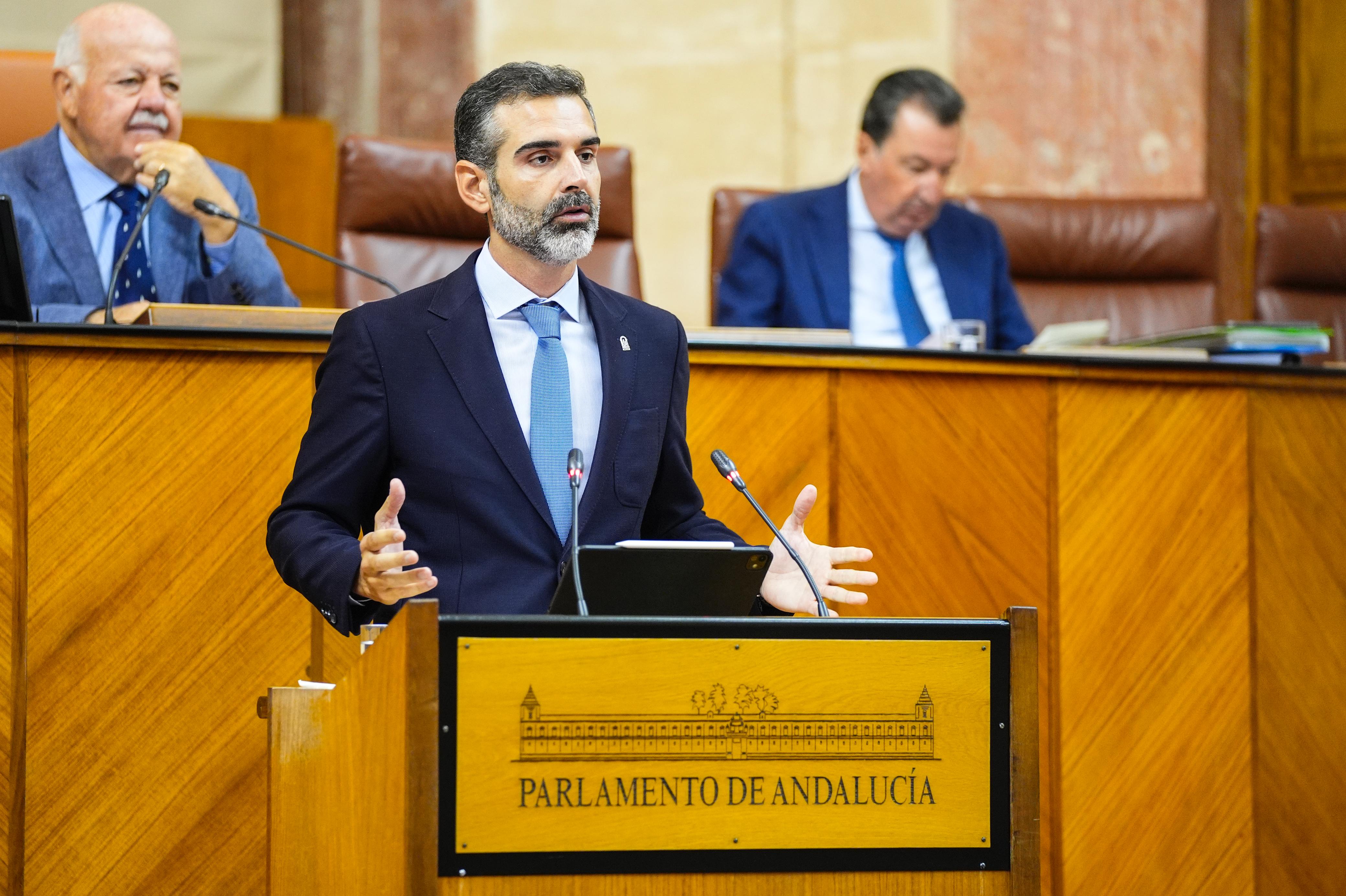 El consejero durante su intervención en el Parlamento de Andalucía