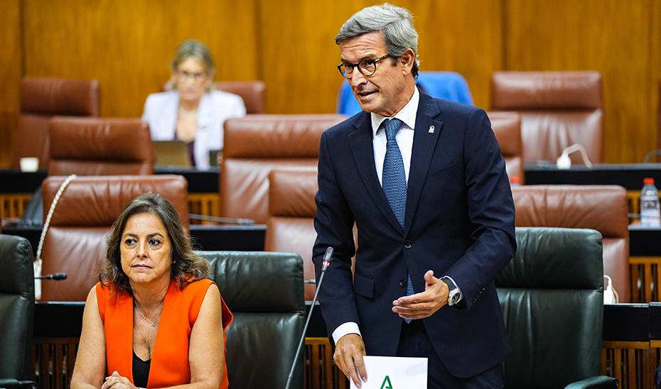 El consejero de Industria, Energía y Minas interviene en la sesión de control al Gobierno en el Parlamento de Andalucía.