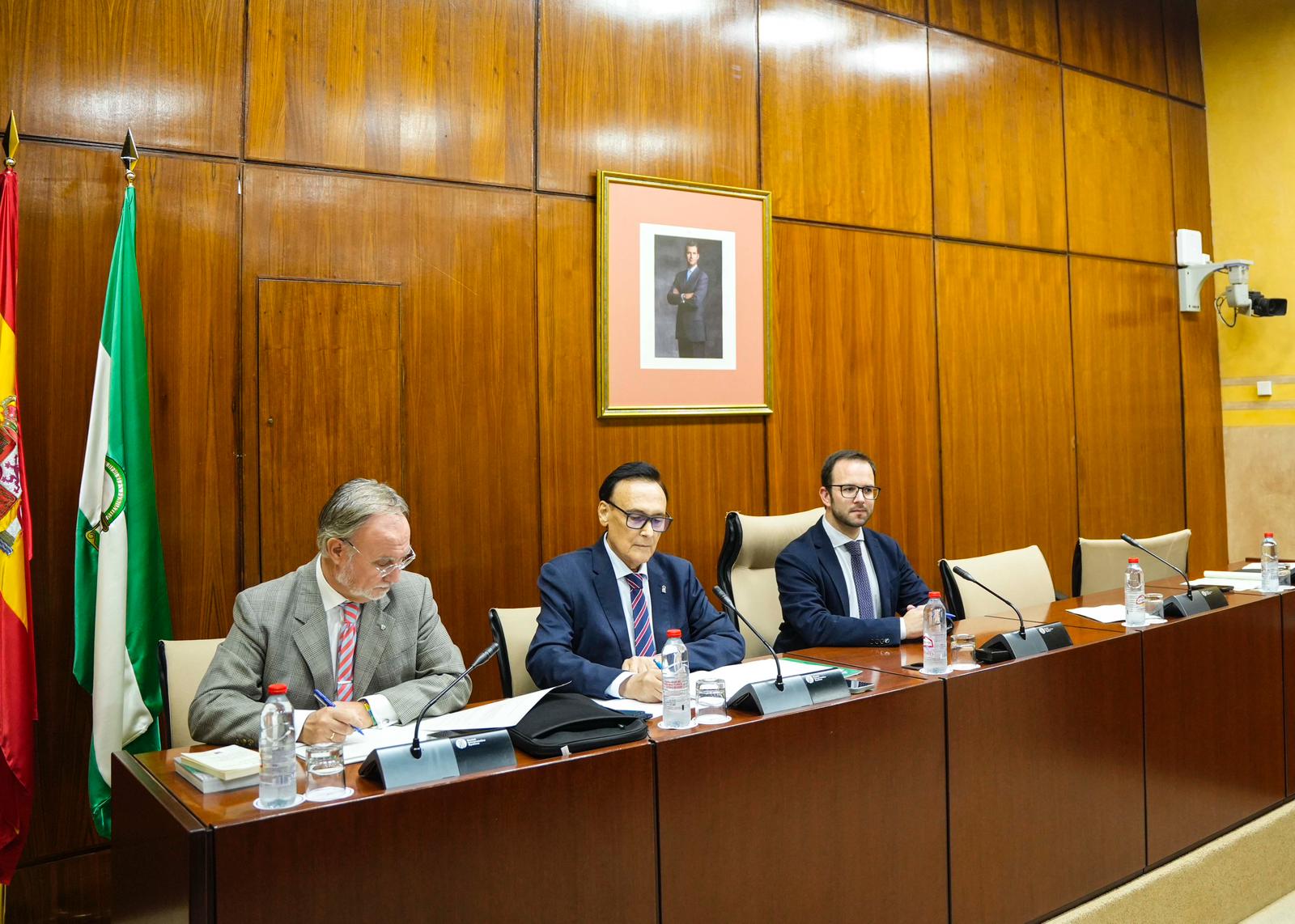 Villamandos comisión