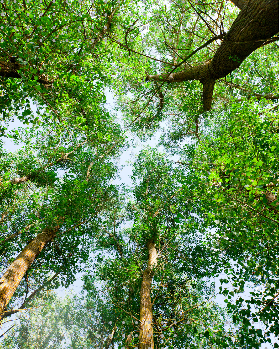 . Este informe refleja que las emisiones totales en la comunidad se situaron en 38.360.569 toneladas de CO₂ equivalente