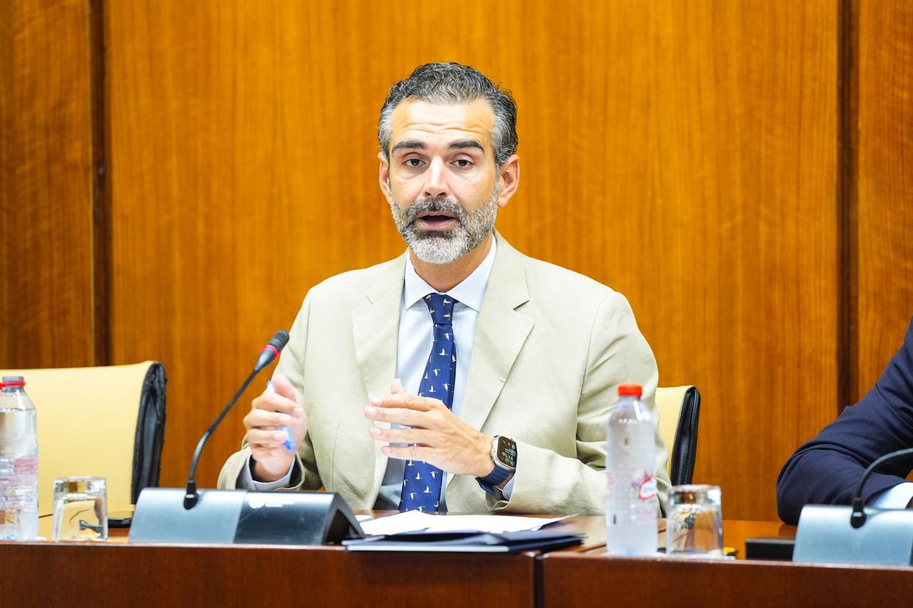 El consejero durante su intervención en comisión parlamentaria
