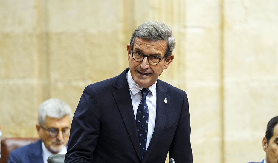 El consejero de Industria, Energía y Minas, Jorge Paradela, durante su intervención en el Pleno del Parlamento.