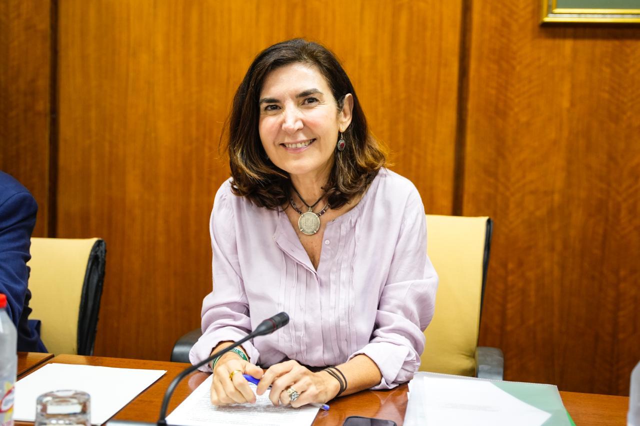 La consejera explicando el Presupuesto para 2026 en comisión parlamentaria.