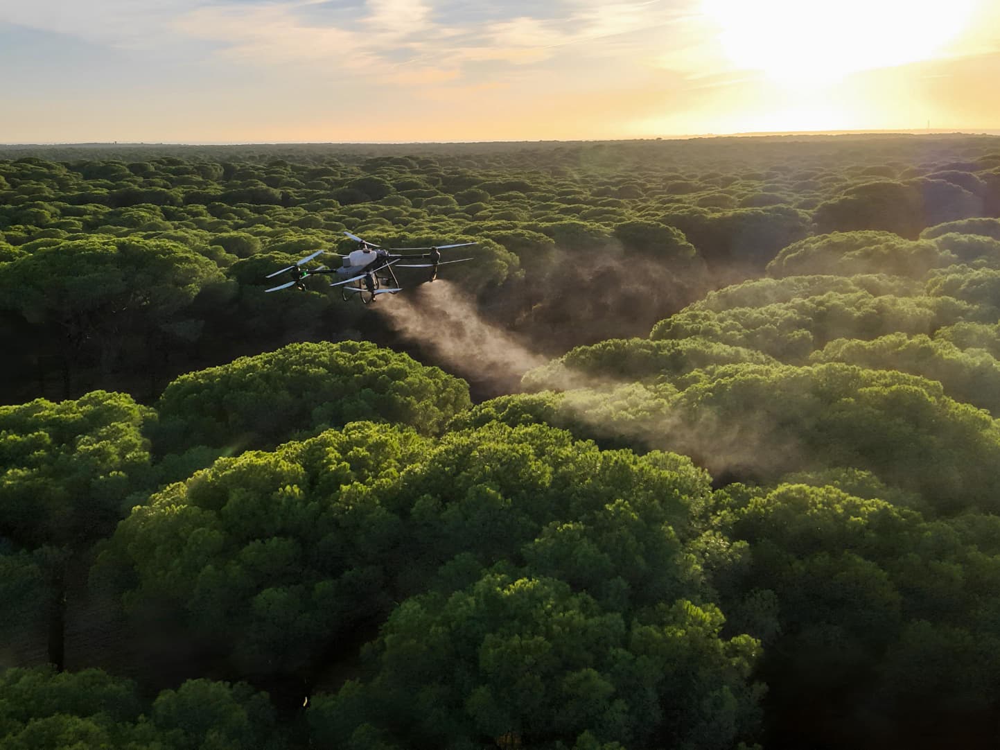 Es la primera vez que la Administración forestal andaluza utiliza esta técnica.