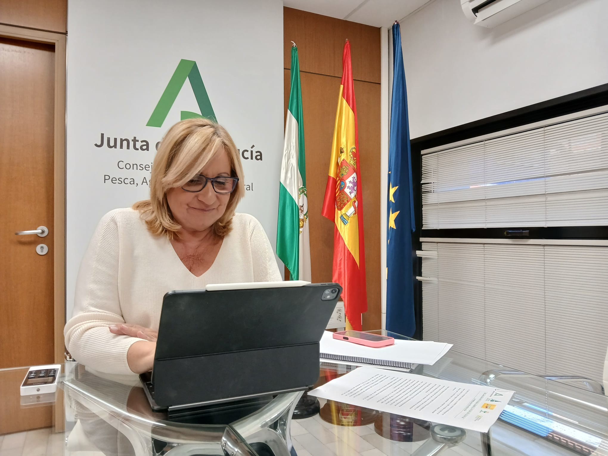 Consolación Vera durante la reunión telemática de la Mesa de Interlocución Agraria de Andalucía