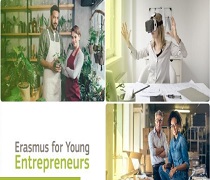 Ofrece a nuevos emprendedores y personas que desean crear una empresa la oportunidad de aprender de empresarios experimentados 