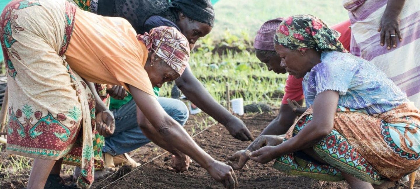 proyectos de cooperación
