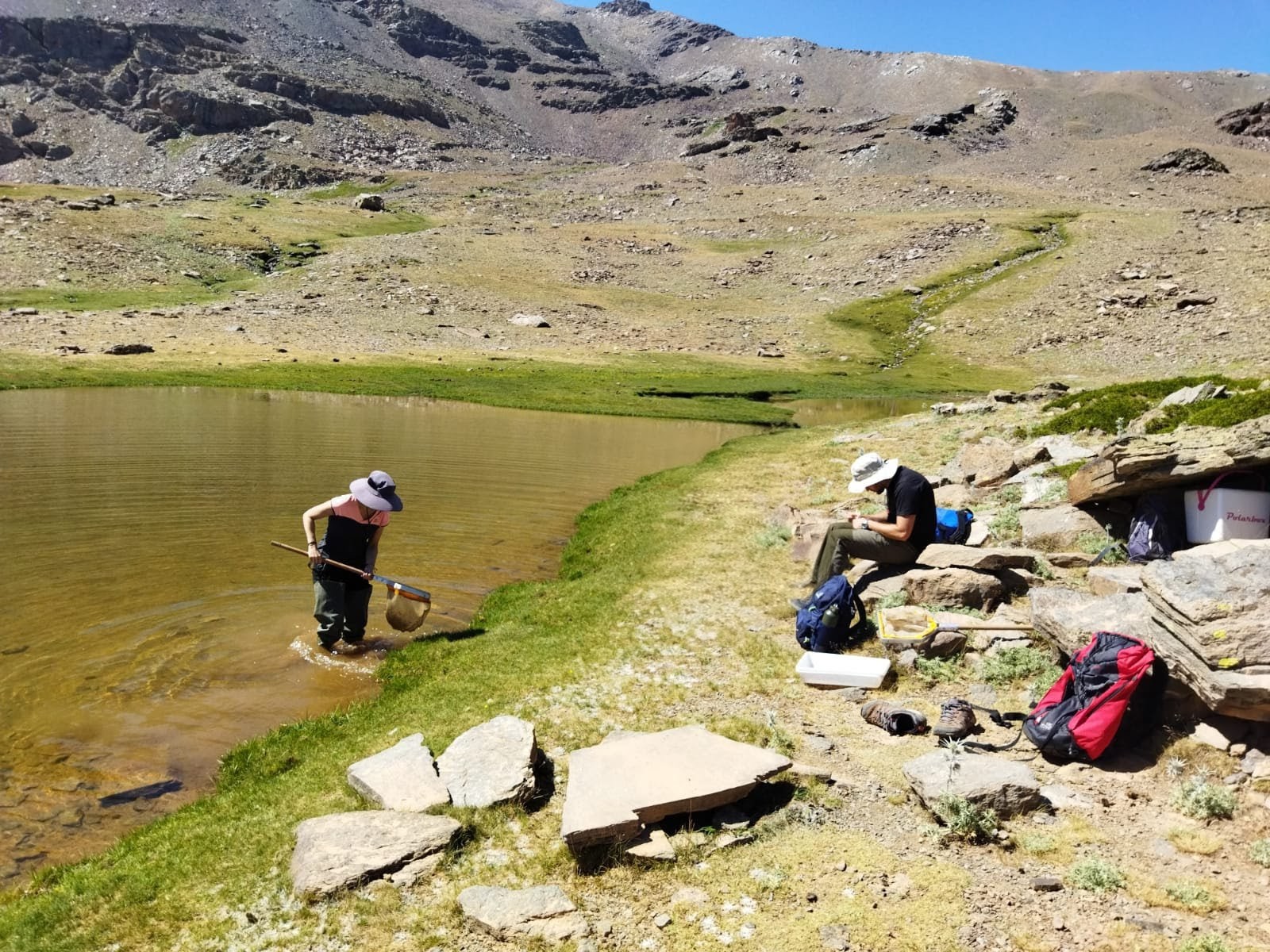 Investigación lagos de Sierra Nevada