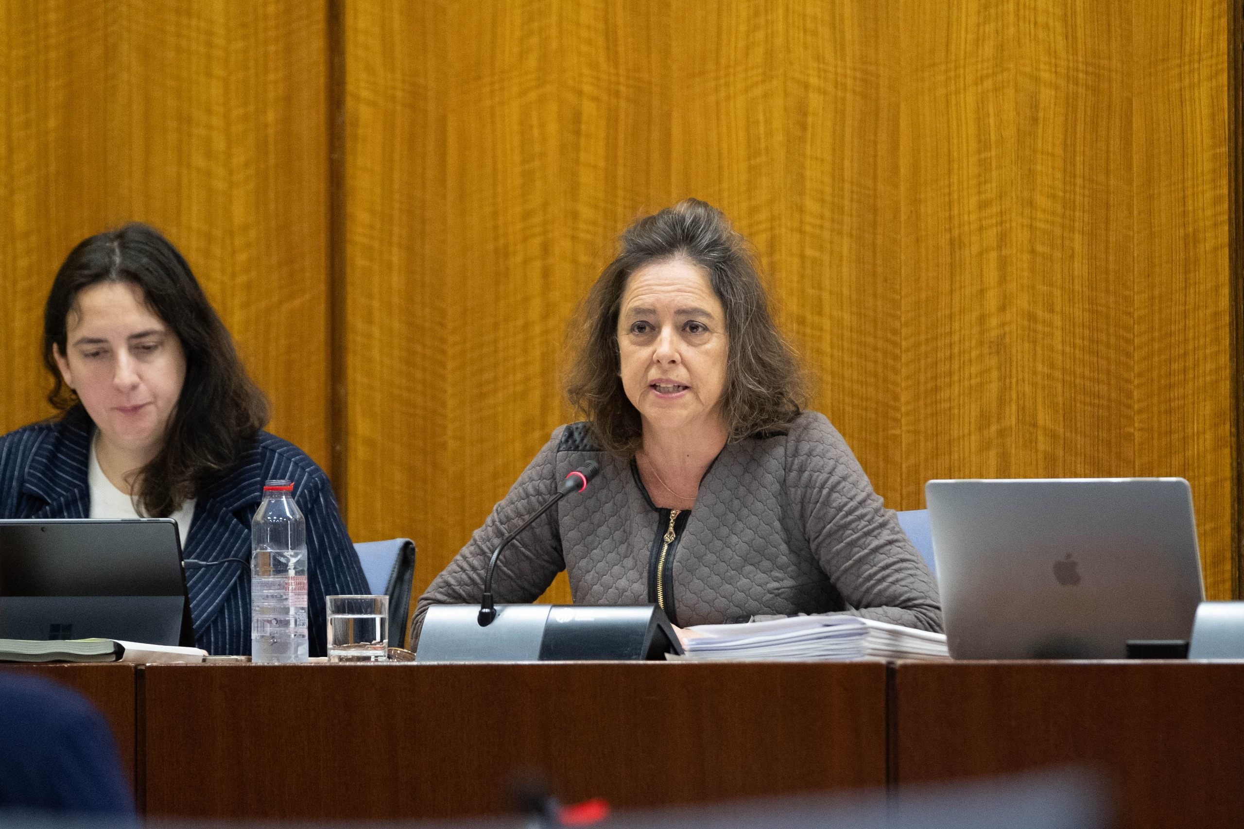 Catalina García, durante su intervención en la Comisión de Sostenibilidad y Medio Ambiente.