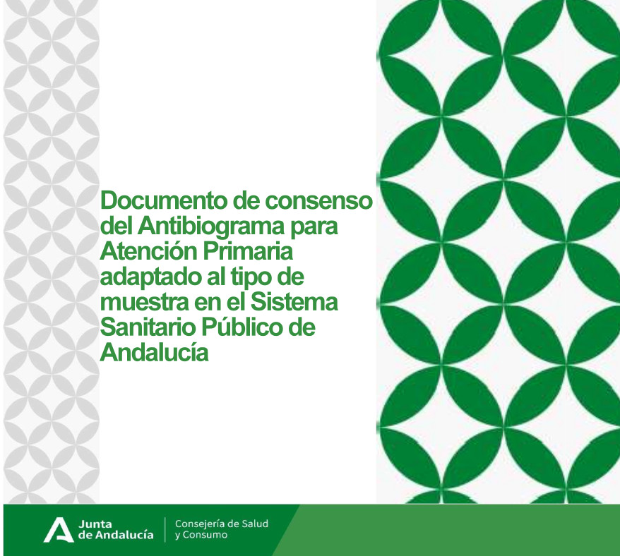 Cubierta de la publicación