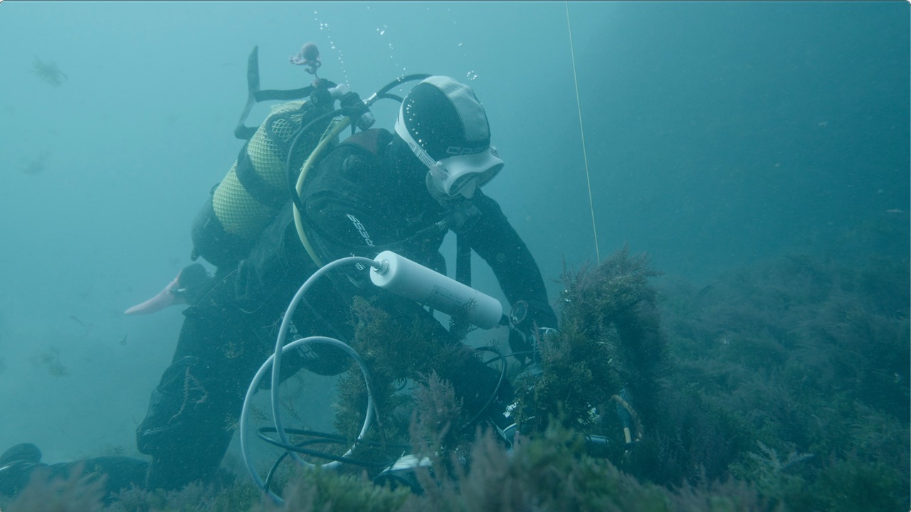 Instalación del sistema de seguimiento de cetáceos