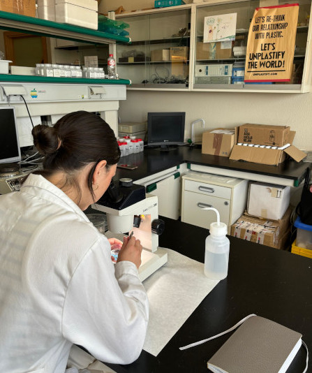 Análisis muestras a través de una lupa