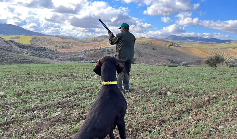 La nueva norma adapta la legislación autonómica para hacer compatible la aplicación del convenio firmado por diez autonomías con el Ministerio de Agricultura.