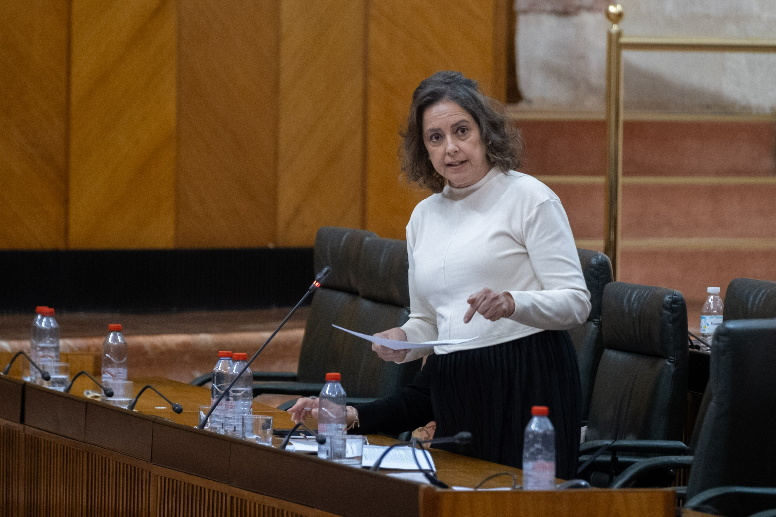 La consejera, Catalina García, durante su intervención en el Parlamento.