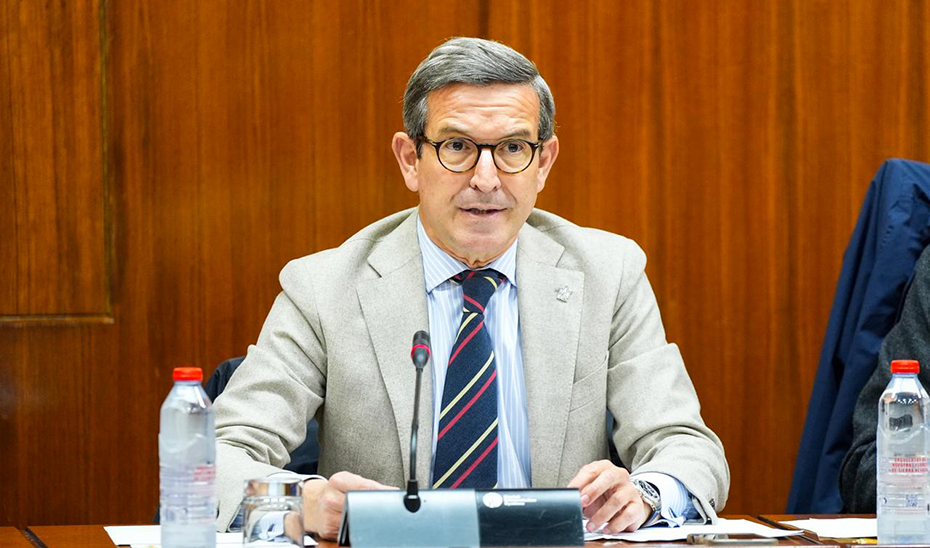 El consejero de Industria, Energía y Minas, Jorge Paradela, durante una intervención en Comisión del Parlamento de Andalucía.