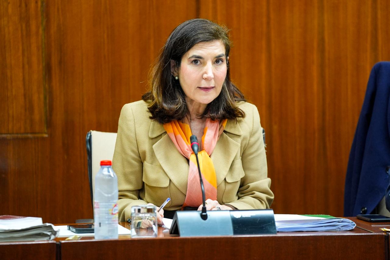 Rocío Blanco en el Parlamento informando sobre actuaciones junto a entidades del Tercer Sector.