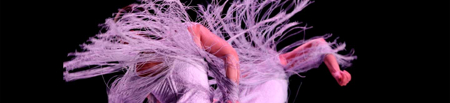 Convocatoria para realizar festivales y eventos de especial interés cultural de flamenco