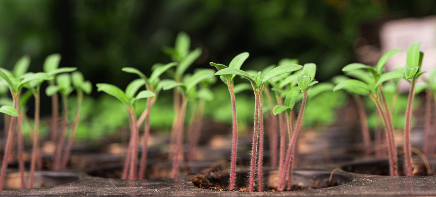 ayudas y subvenciones