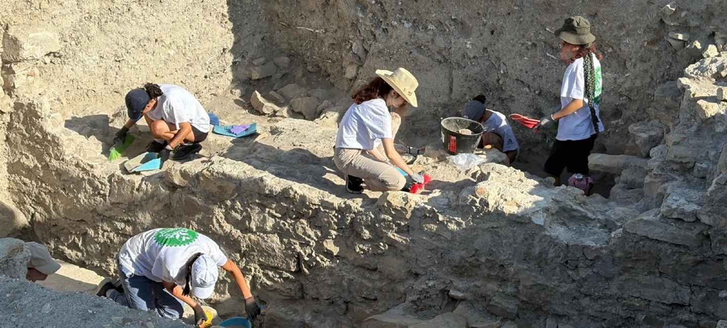 campos de voluntariado