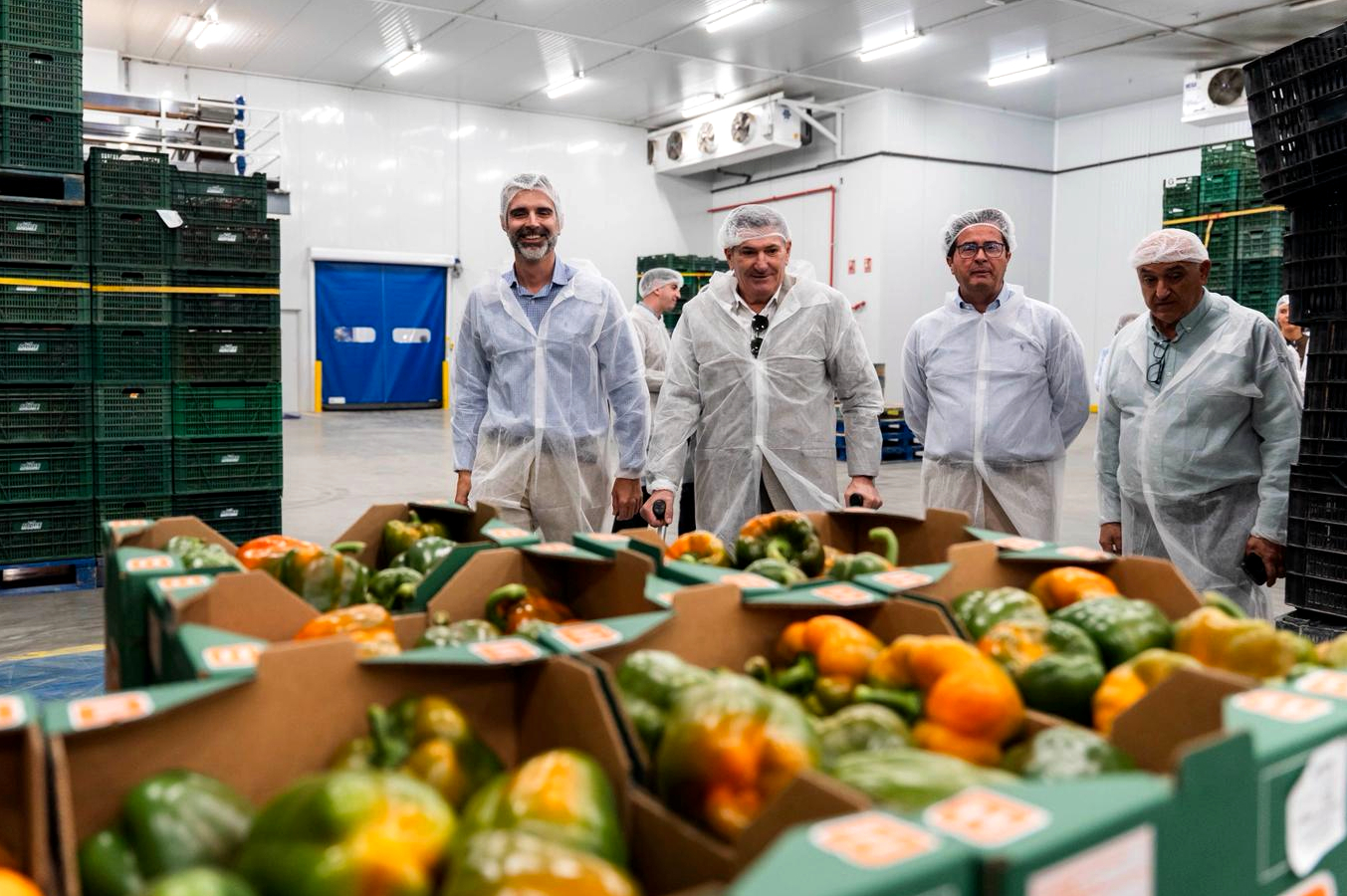 El consejero de Agricultura visita las instalaciones de MABE Hortofrutícola en El Ejido (Almería)