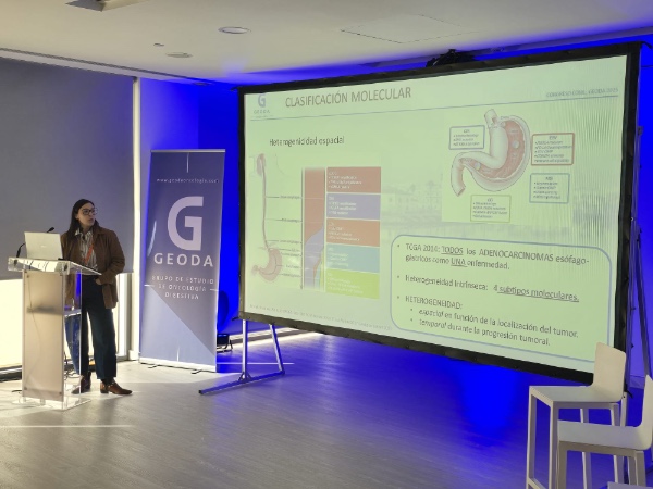 Oncólogos andaluces abordarán en Conil los nuevos avances en tumores digestivos