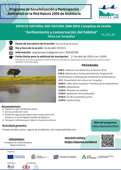 Cartel de la actividad