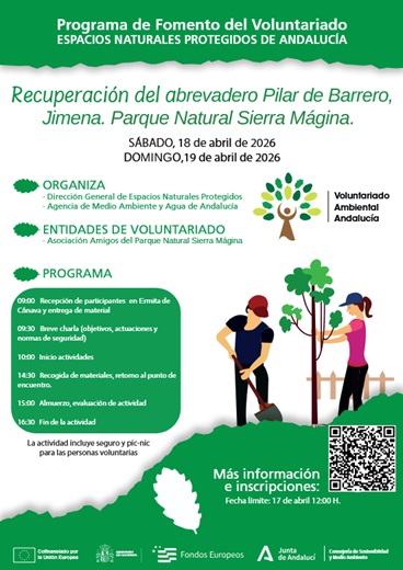 Cartel de la actividad