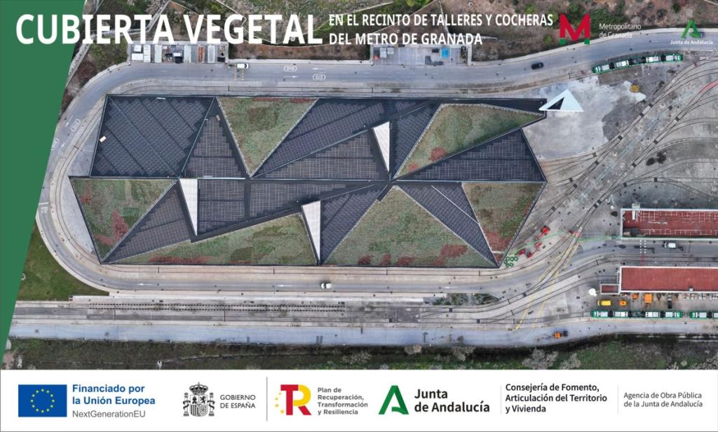 Fondo de pantalla Cubierta vegetal