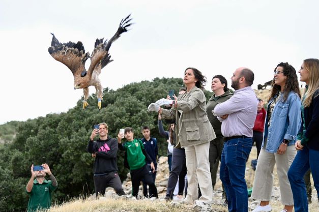 Suelta del águila imperial en el Parque Natural Sierra de Mágina