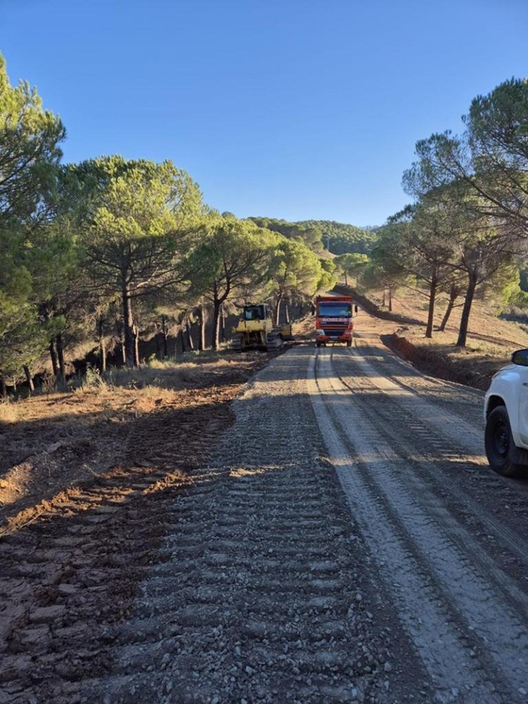 Camino en MMPP El Mustio