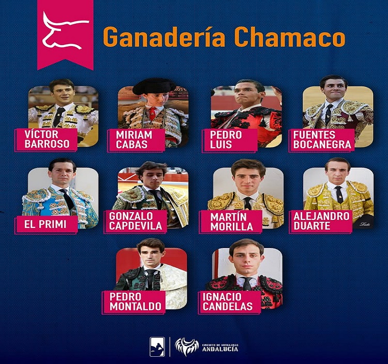 Cartel de los jóvenes novilleros