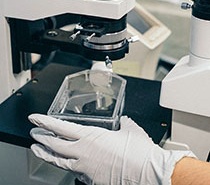 Iniciativas en investigación