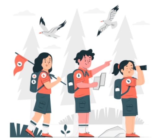 Catálogo de Zonas de Acampada 2026