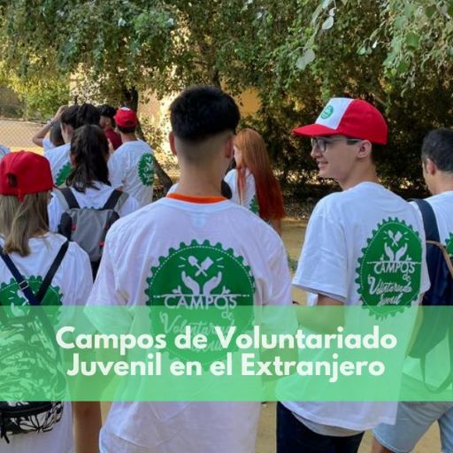 Nueva edición de los Campos de Voluntariado Juvenil en el Extranjero 2026