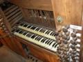 Foto del órgano